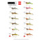 NANIWA OSAKA SHI CARDINA SHRIMP KARİDES 5CM 3.7GR